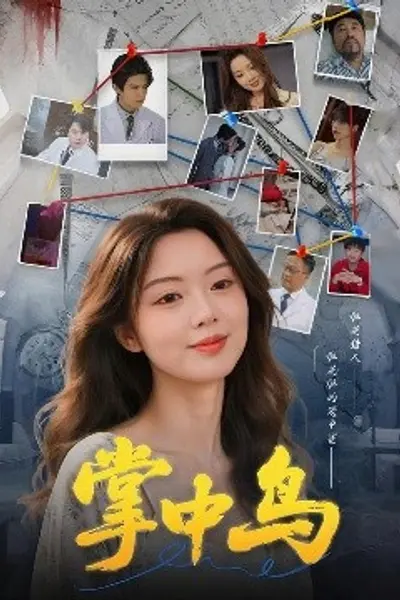 掌中鸟