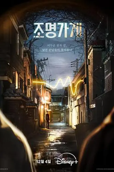 照明商店2024