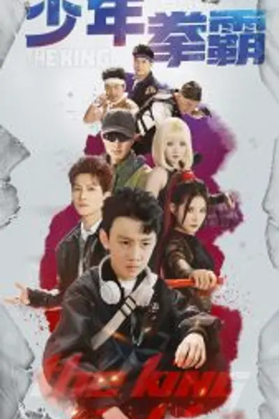 少年拳霸