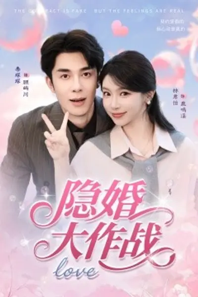 隐婚大作战