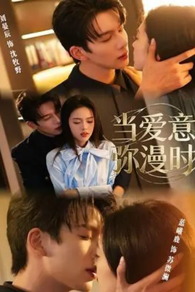 当爱意弥漫时
