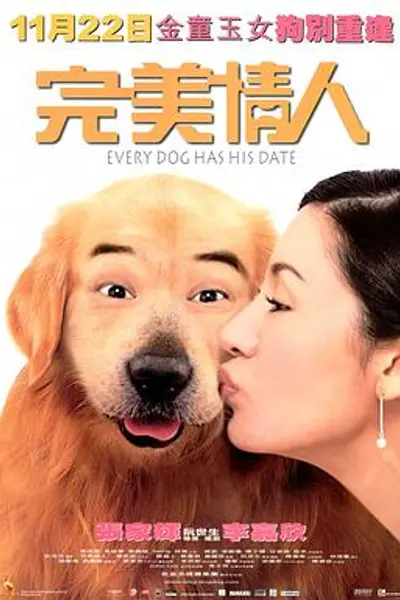 完美情人