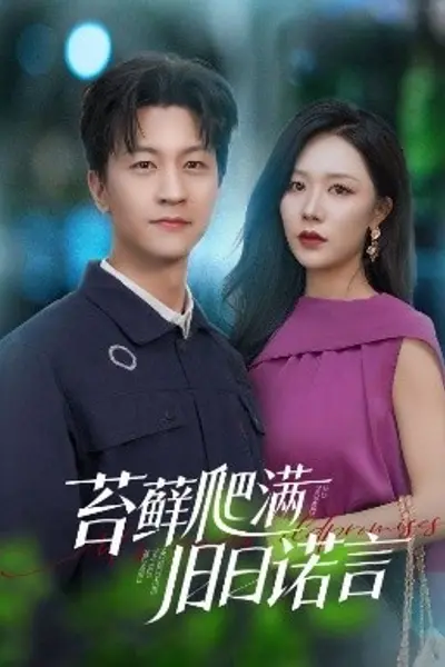 苔藓爬满旧日诺言
