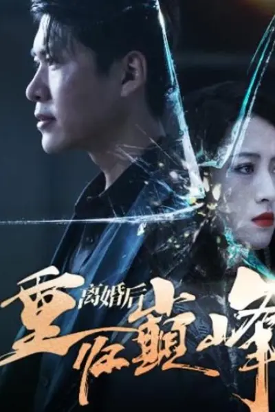 离婚后重回人生巅峰