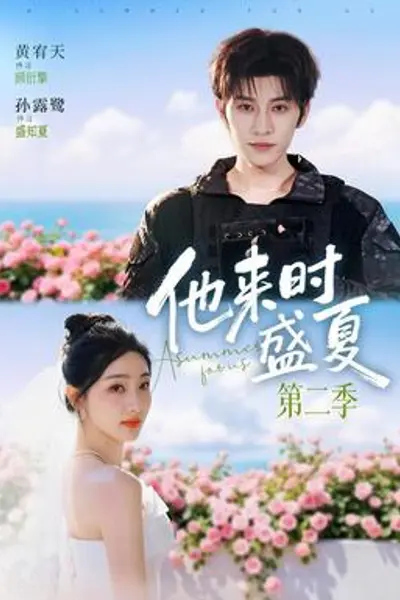 他来时盛夏第二季
