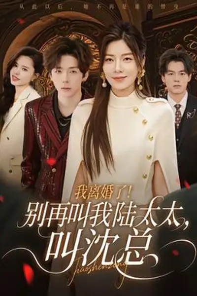 我离婚了!别再叫我陆太太,叫沈总