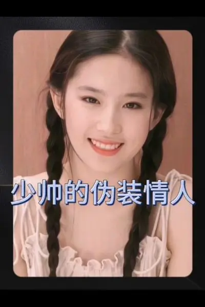 少帅的伪装情人