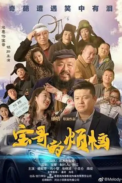 宝哥的烦恼