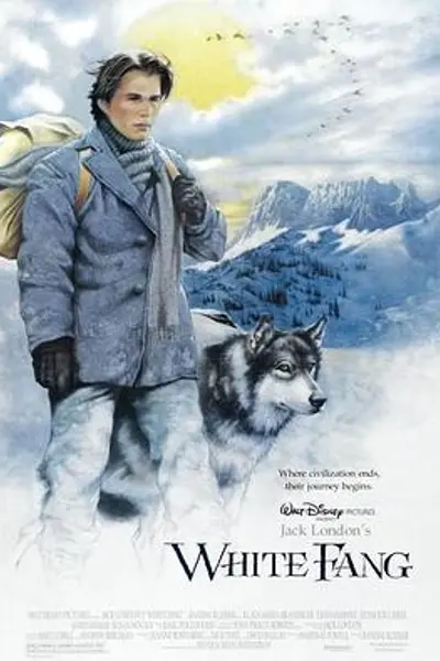 雪地黄金犬
