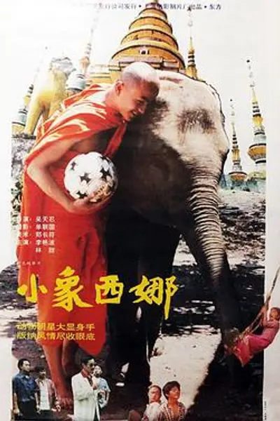 小象西娜