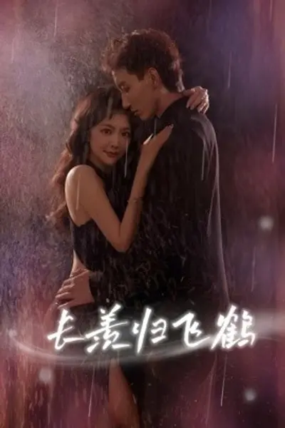长羡归飞鹤