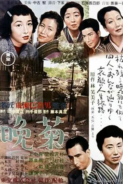 晚菊