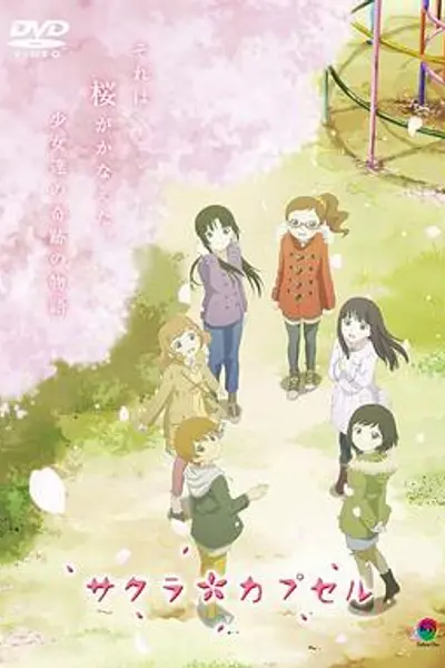 樱花树下的时间胶囊