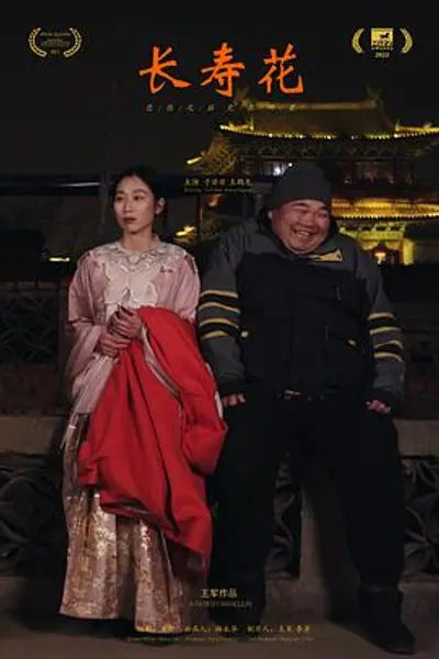 长寿花