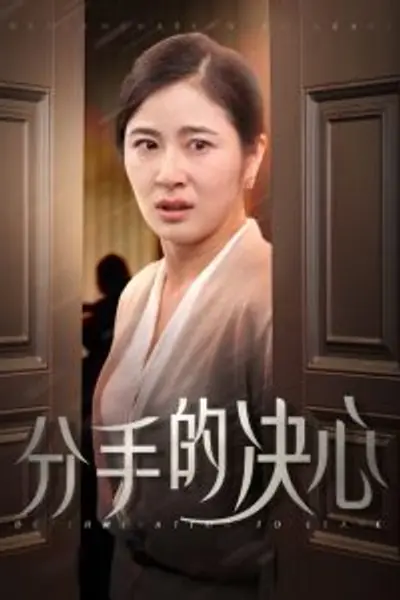 分手的决心短剧