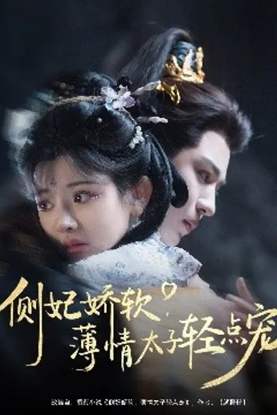 侧妃娇软薄情太子轻点宠