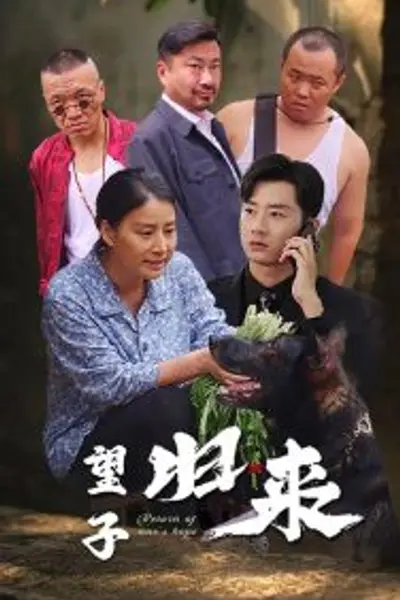 望子归来