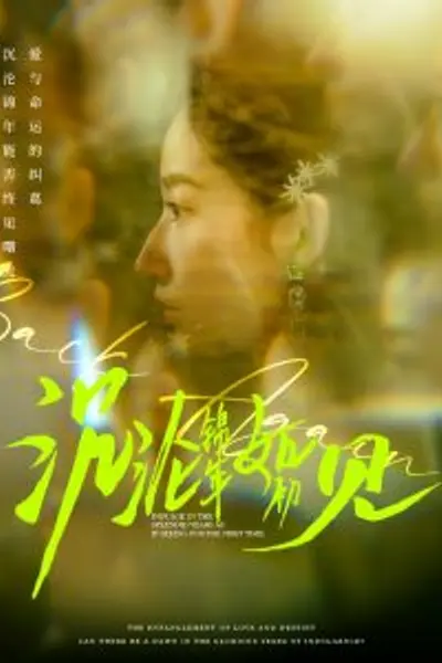 沉沦锦年如初见
