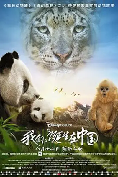 我们诞生在中国