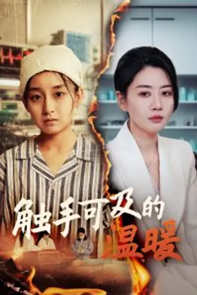 触手可及的温暖
