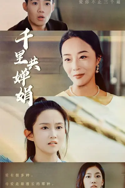千里共婵娟