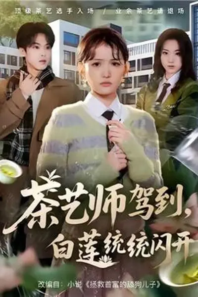 茶艺师驾到白莲统统闪开