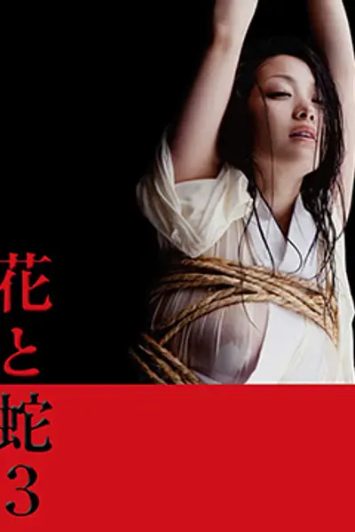 花与蛇3