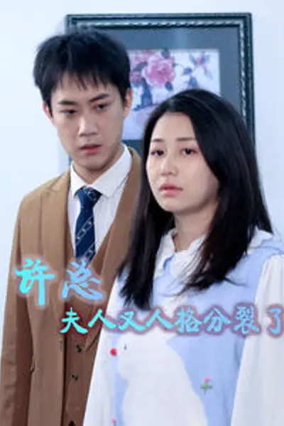 许总,夫人又人格分裂了