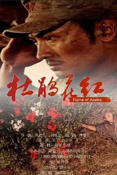 杜鹃花红