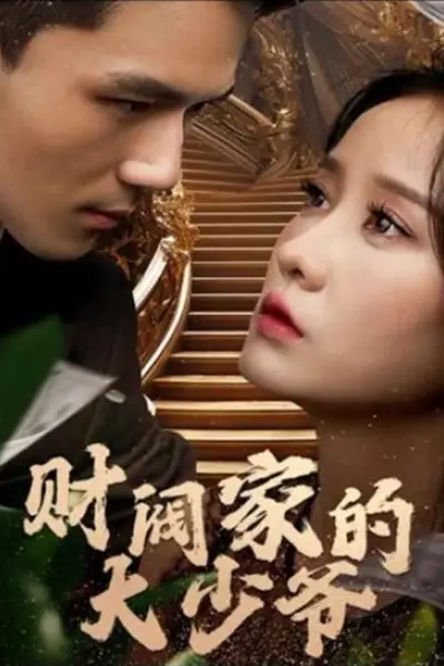 财阀家的大少爷