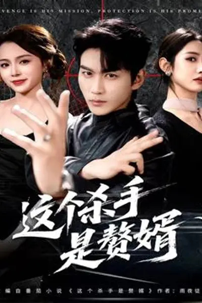 这个杀手是赘婿