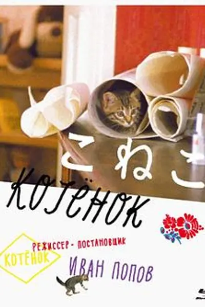 小猫虎子
