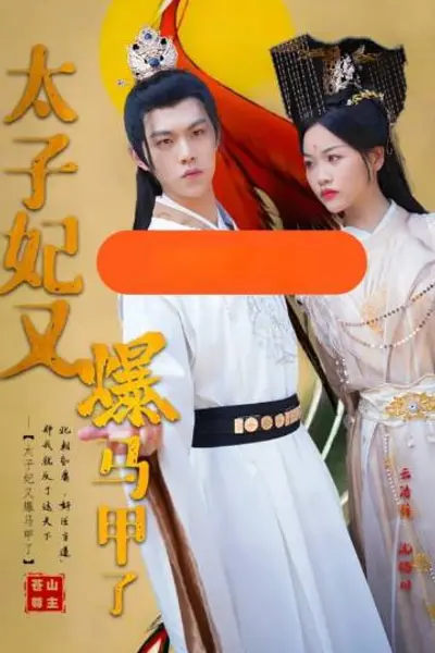 太子妃又爆马甲了