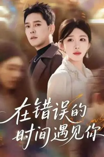 在错误的时间遇见你