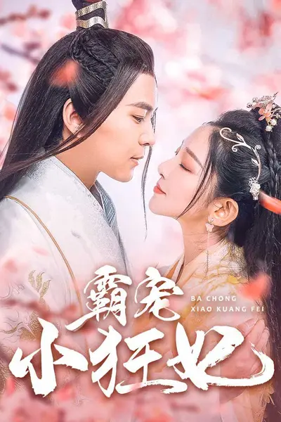 霸宠小狂妃