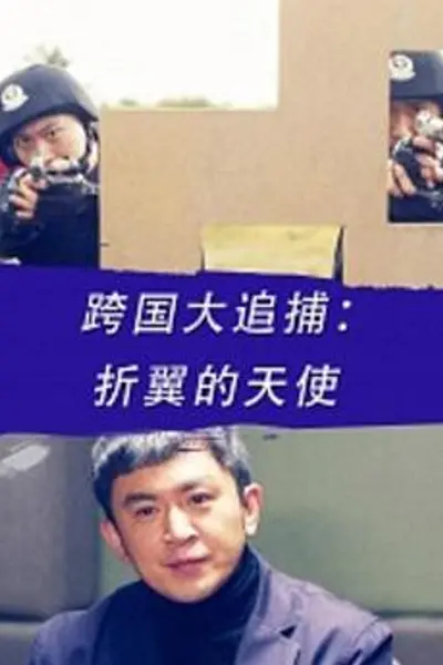 跨国大追捕:折翼的天使