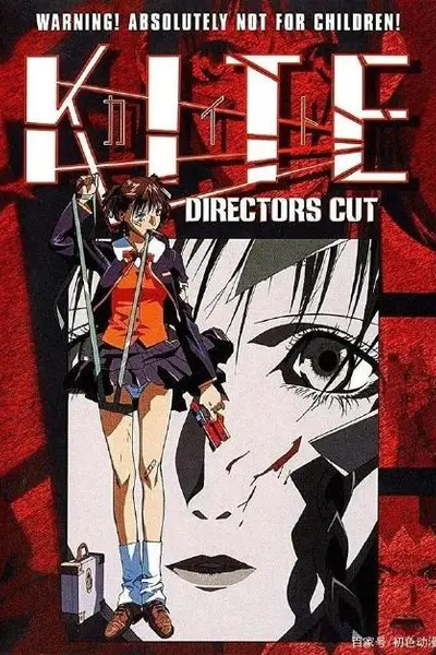风筝A KITE