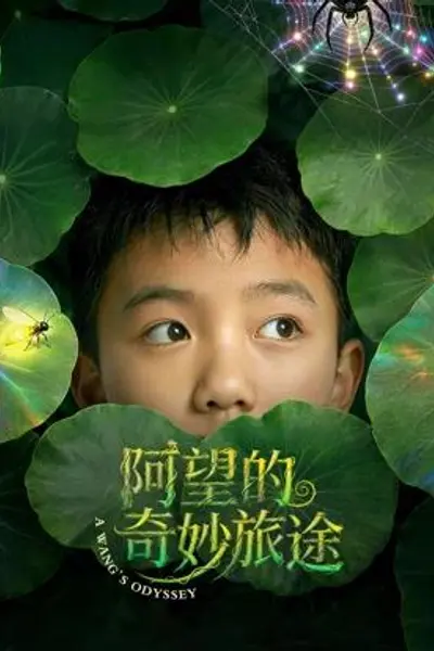 阿望的奇妙旅途