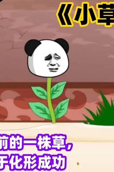 小草修仙记