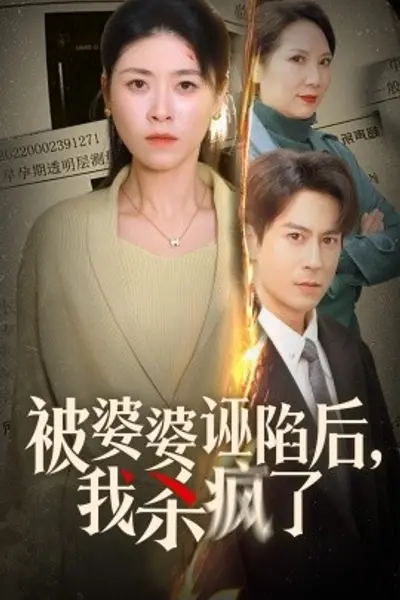 被婆婆诬陷后我杀疯了