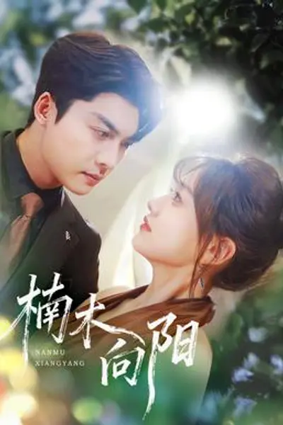 楠木向阳