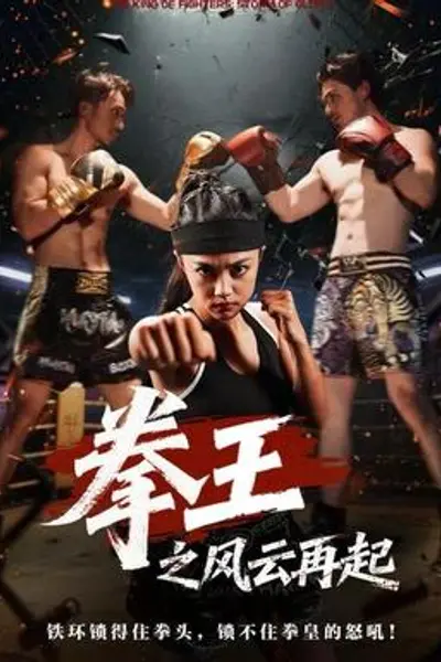 拳王之风云再起