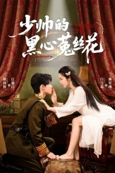 少帅的黑心菟丝花