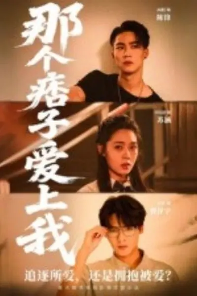那个痞子爱上我