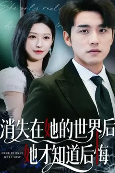 消失在她的世界后她才知道后悔