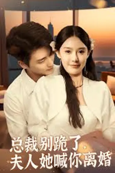 总裁别跪了，夫人她喊你离婚
