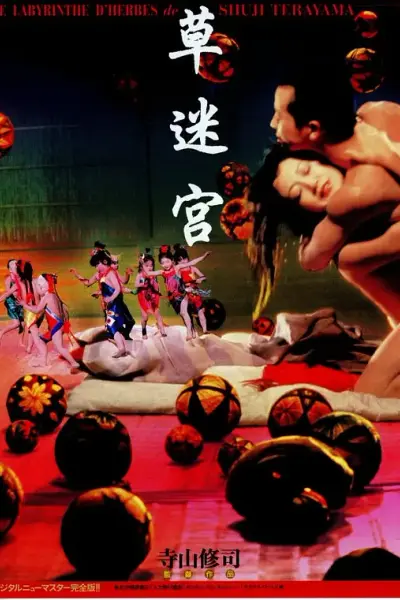 草迷宫