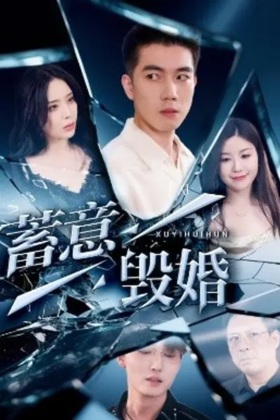 蓄意毁婚