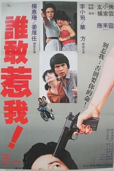 谁敢惹我