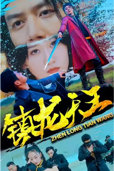 镇龙天王